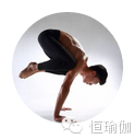 【瑜伽】MyPTyoga优秀瑜伽私人教练半岛·BOB官方网站培训(图1)