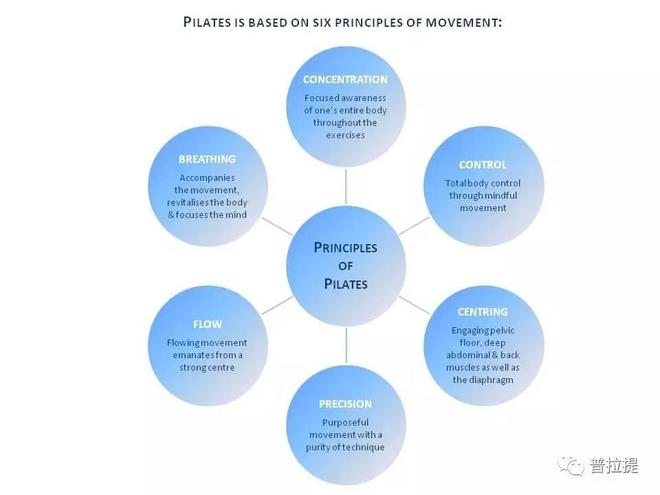 普拉提运动必须掌握的基BOB半岛本原则(图4)