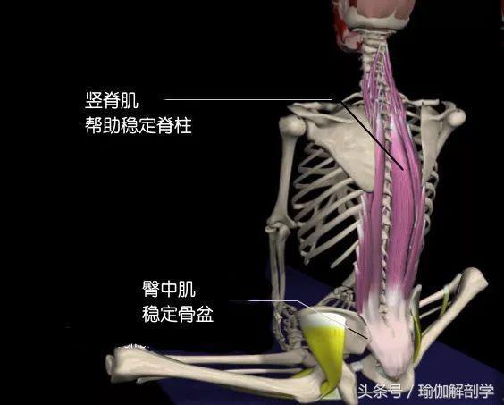 有效缓解经期疼痛的瑜伽束角式你做对了半岛·BOB官方网站吗？(图4)