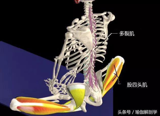 有效缓解经期疼痛的瑜伽束角式你做对了半岛·BOB官方网站吗？(图7)